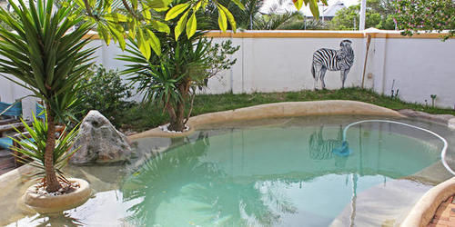Green Elephant Backpackers Κέιπ Τάουν Εξωτερικό φωτογραφία